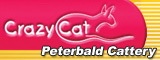 Сайт Crazy Cat посвящен самой молодой породе голых кошек - Петербургскому сфинксу